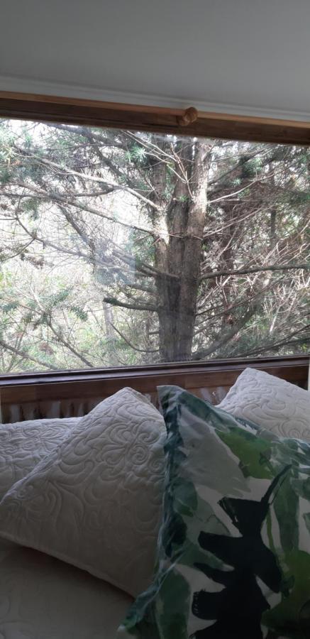 Eco Cabana Puerto Varas Luaran gambar